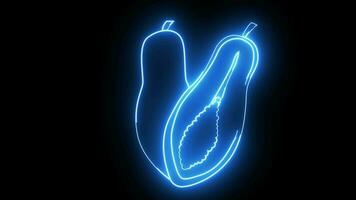 Animation von ein Papaya Obst Symbol mit ein glühend Neon- bewirken video