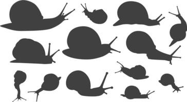 set of snail silhouette, mollusc animal collection vector