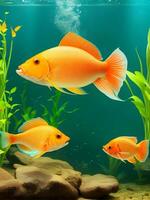 Fish in Aquarium AI Generative photo