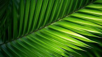 Close up of a green palm leaf in tropical forest. Natural background Generative AI photo