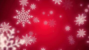 Christmas festive bright New Year background made of white glowing winter beautiful falling flying snowflakes patterns on a red background video