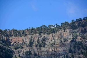 a mountain with trees on top of it photo