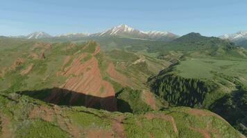 rosso rocce, conifero foresta e montagne su sfondo. aereo Visualizza. fuco è volante inoltrare veloce video