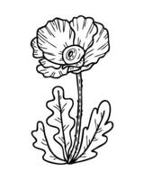 Hand drawn big eyed doodle poppy flower plant. Gothic print for tee, sticker, card, poster. Isolated vector illustration for decor and design.
