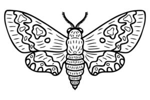 Acherontia atropos monochrome realistic doodle hawk moth. Perfect for tee, poster, card, sticker, banner. vector