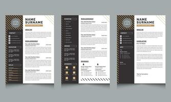 Minimal Resume, Cover Letter, and Reference Layout Template Set vector