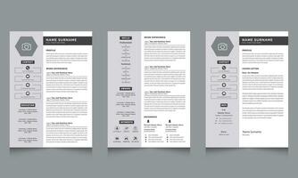 Resume Template Design Layout Accents vector