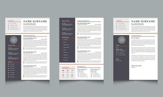 Curriculum Vitae and Cover Letter Layout with Black Sidebar Design vector