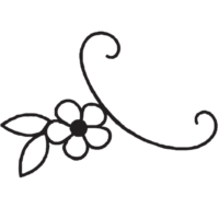 hand- getrokken bloemen tekening png