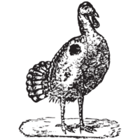 animal granja, animal salvaje png