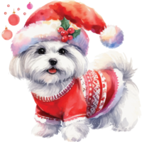 Cute pets in festive costumes, AI Generated png