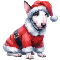 Cute pets in festive costumes, AI Generated png