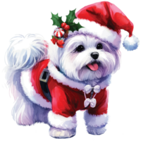 Cute pets in festive costumes, AI Generated png