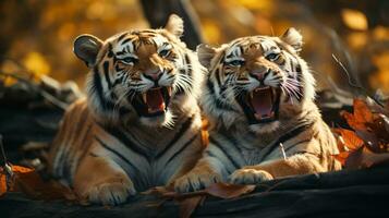 photo of heart-melting two Tigers with an emphasis on expression of love. Generative AI