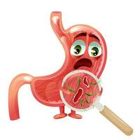 Scared cartoon stomach character with ulcer and helicobacter pylori infection under magnifying glass vector