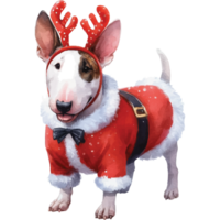 Cute pets in festive costumes, AI Generated png