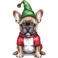 Cute pets in festive costumes, AI Generated png