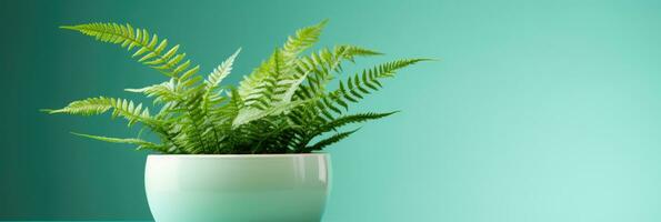 A serene indoor fern plant in minimalistic pot isolated on a green gradient background photo