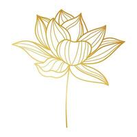 Vector gradient golden linear background with waterlily shapes