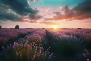 Sunset over lavender field scenery. Generate Ai photo