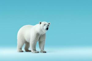 polar oso merodeando en nieve aislado en un azul degradado antecedentes foto