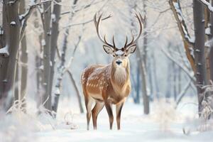 majestuoso ciervo pasto pacíficamente en un sereno nieve cubierto invierno bosque foto