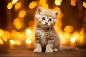 Close-up of cute cat gazing at something with beautiful bokeh background, Generative AI photo