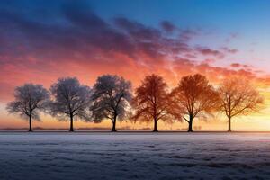 diverso diciembre amanecer puestas de sol capturado diario variar paisajes antecedentes con vacío espacio para texto foto