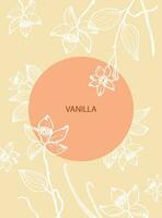 Vanilla label template background for text. Flower and sticks of vanilla plant vector illustration with pods, fragrant spices. For label,spice packaging, logo, card, banner.Hand drawn design element