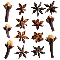 Set dried cloves png on isolated transparent background