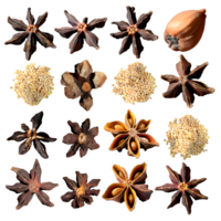 Set dried cloves png on isolated transparent background