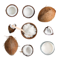 Set coconut fruit and sliced with leaves png on isolated transparent background