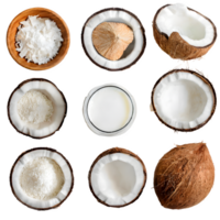 Set coconut fruit and sliced with leaves png on isolated transparent background