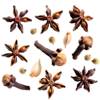 Set dried cloves png on isolated transparent background