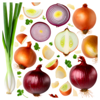 Set fresh onion and sliced png on isolated transparent background