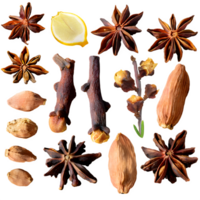 Set dried cloves png on isolated transparent background