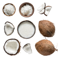 Set coconut fruit and sliced with leaves png on isolated transparent background