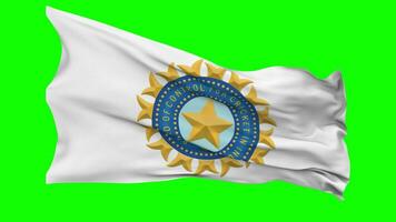 tablero de controlar para Grillo en India, bcci bandera ondulación sin costura lazo en viento, croma llave verde pantalla, luma mate selección video