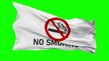 No Smoking Flag Waving Seamless Loop in Wind, Chroma Key Green Screen, Luma Matte Selection video