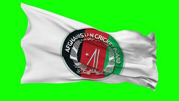 Afghanistan Cricket Board, ACB Flag Waving Seamless Loop in Wind, Chroma Key Green Screen, Luma Matte Selection video