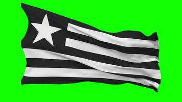 botafogo de futebol e regatas bandeira acenando desatado ciclo dentro vento, croma chave verde tela, luma fosco seleção video