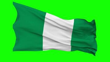 Nigeria Flag Waving Seamless Loop in Wind, Chroma Key Green Screen, Luma Matte Selection video