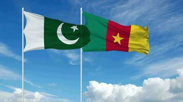 Pakistan and Cameroon Flags Waving Together in the Sky, Seamless Loop in Wind, 3D Rendering video