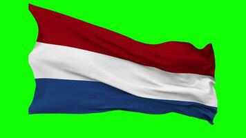 Netherlands Flag Waving Seamless Loop in Wind, Chroma Key Green Screen, Luma Matte Selection video