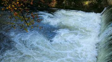 cascada de un río en otoño video