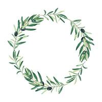 Watercolor olive tree wreath with black olives. Hand drawn botanical illustration. Can be used for cards, logos and food design. vector