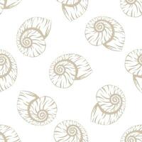 Seamless pattern with shells. Background with seashell on white. Texture of a tropical sea mollusk or snail with a spiral shell. Vector illustration.