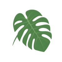 monstera blad illustratie ai generatief png