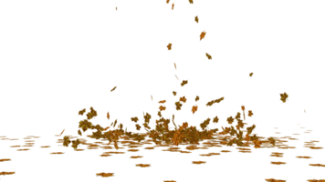 maple leaf fall on the ground high quality transparent image png