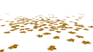 maple leaf fall on the ground high quality transparent image png